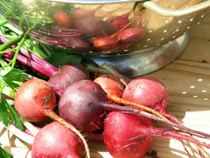 Beets. And Vienna Sausages
