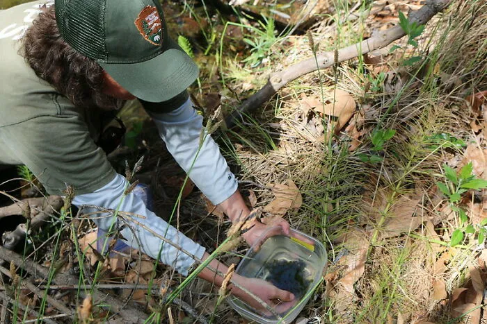 The Results Of Many Experiments In Ecology Would Not Stand Up To Replication
