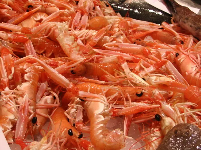 Taking The Poop Out Of The Shrimp