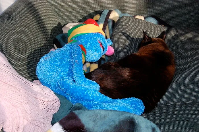 Grover