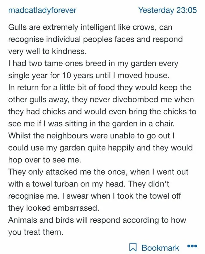 35 Times Insane Moms Went Way Too Far And Got Shamed On The "Mumsnet Madness" Twitter Account