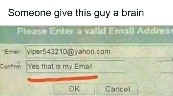 Screen capture of a funny science joke showing a user typing an invalid email confirmation, highlighting humor in science jokes and memes.