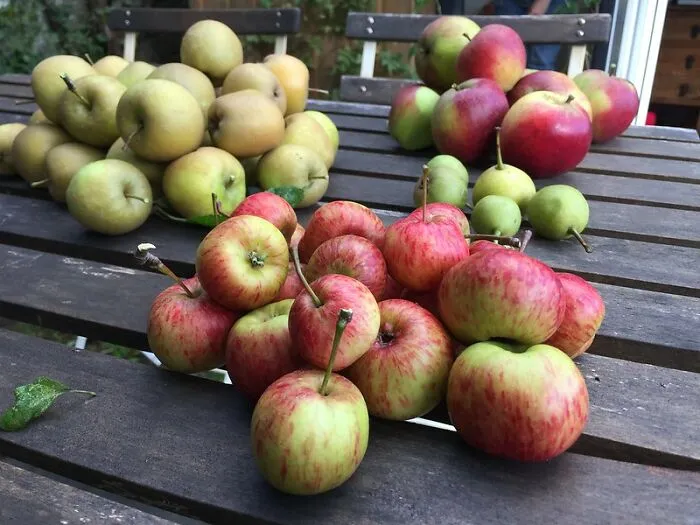 Biting Off Apple Skin Instead Of Peeling It