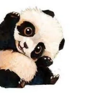 Fabulous panda