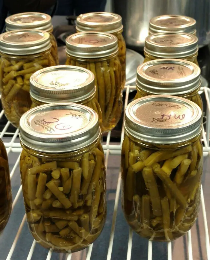 “Stewed Green Beans” 