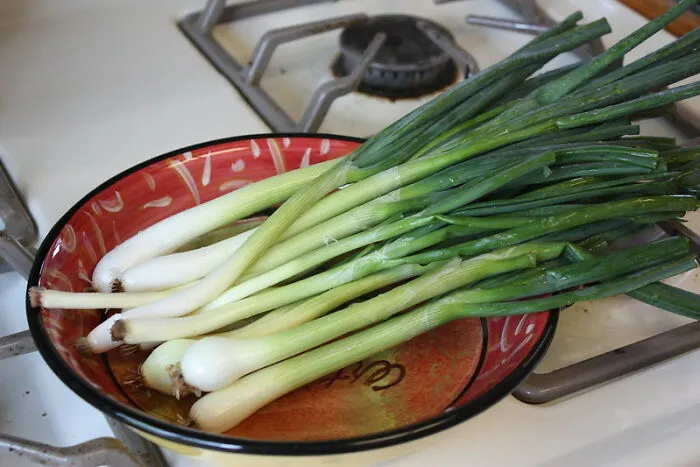 Chopping Green Onions