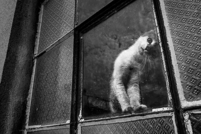 Untitled © Radoslaw Lowicki (Poland)