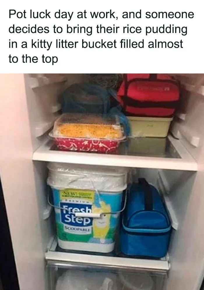 "This Is Why I Don't Do Potlucks": People Share Pics Of Seriously Gross Food
