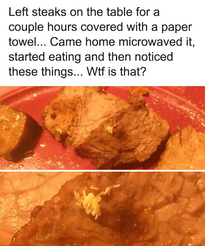 "This Is Why I Don't Do Potlucks": People Share Pics Of Seriously Gross Food