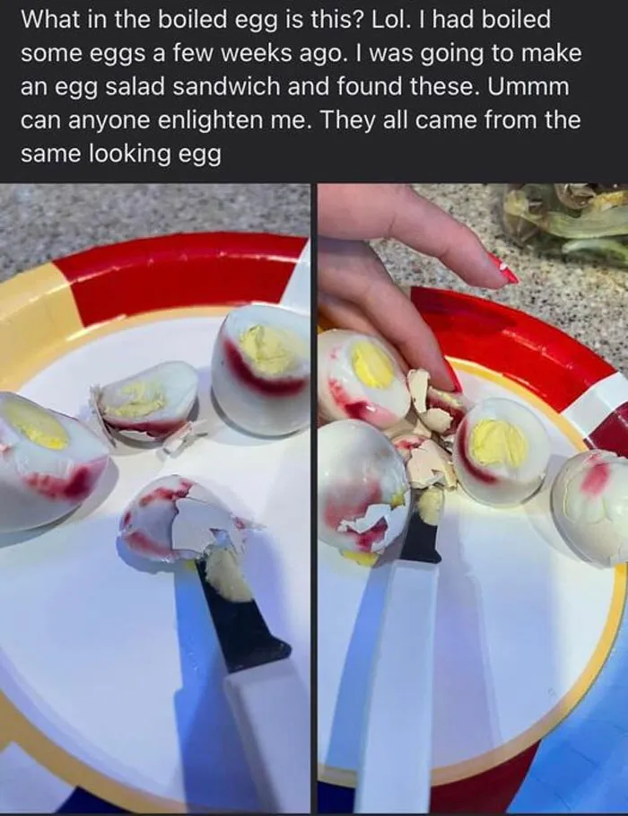 "This Is Why I Don't Do Potlucks": People Share Pics Of Seriously Gross Food