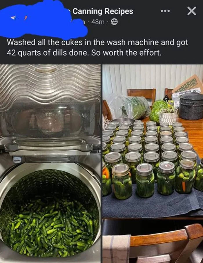 "This Is Why I Don't Do Potlucks": People Share Pics Of Seriously Gross Food