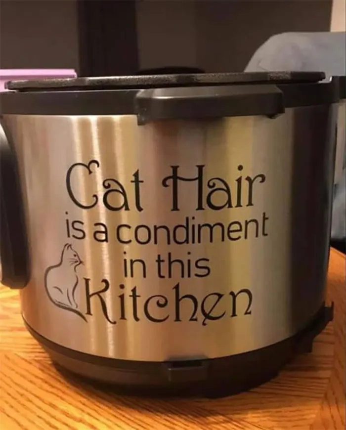 "This Is Why I Don't Do Potlucks": People Share Pics Of Seriously Gross Food