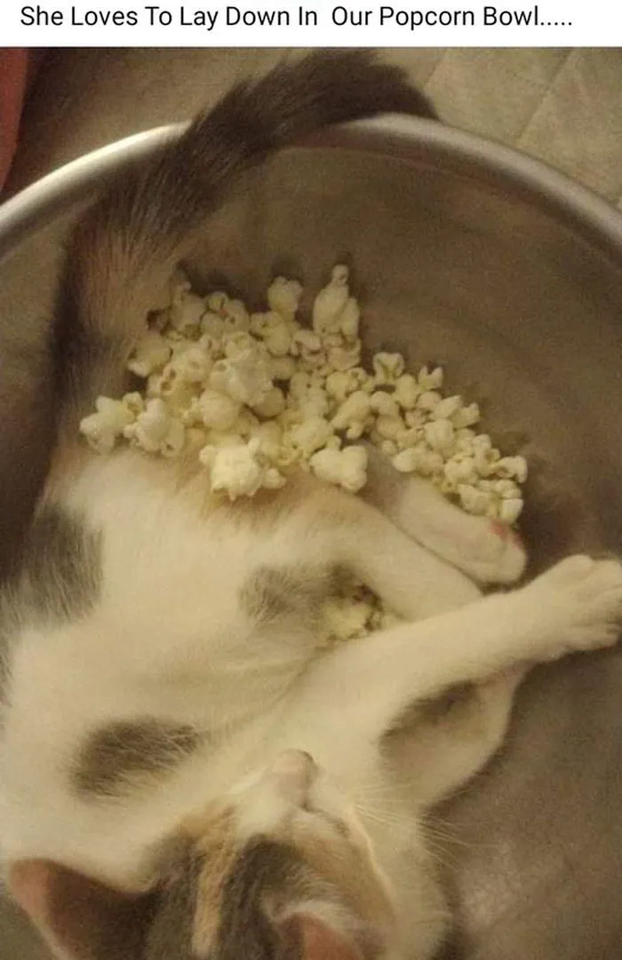 "This Is Why I Don't Do Potlucks": People Share Pics Of Seriously Gross Food