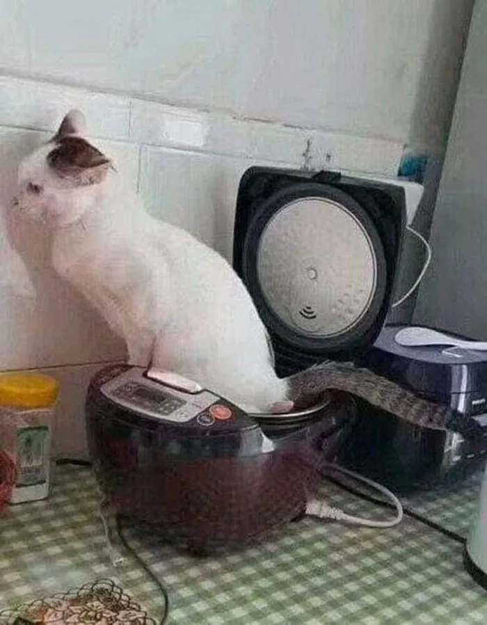 La gente comparte 20 fotos de comida muy asquerosa que trajeron sus invitados