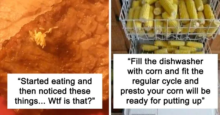 "This Is Why I Don't Do Potlucks": People Share Pics Of Seriously Gross Food