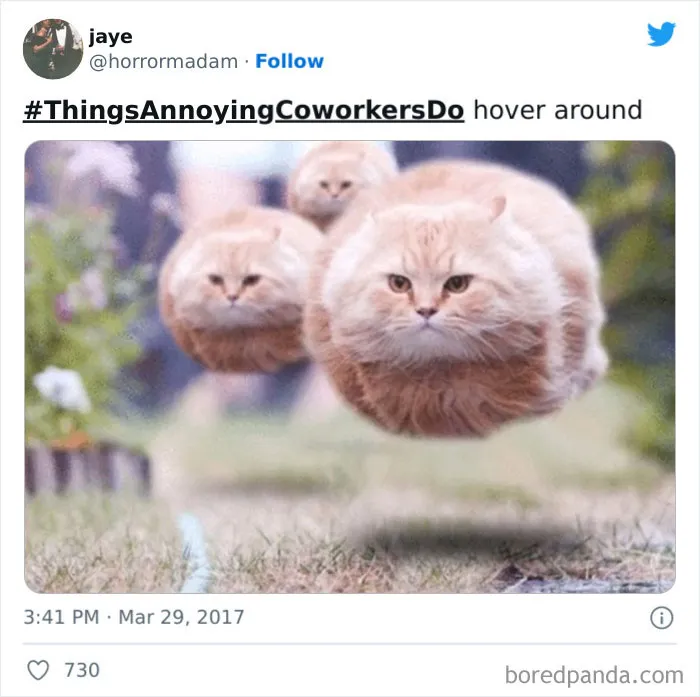 People Are Tweeting #ThingsAnnoyingCoworkersDo, Here Are 30 Of The Best Ones