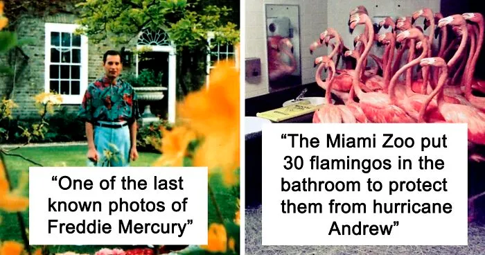 50 Important, Interesting And Random Events That Happened 30 Years Ago, As Shared On This Nostalgic Online Group