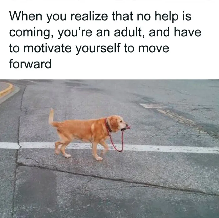 People Share 50 Painfully Hilarious Memes To Sum Up Adulthood