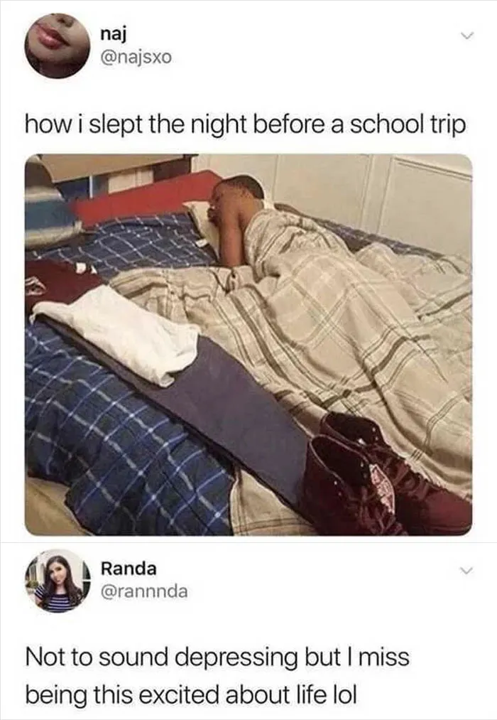 People Share 50 Painfully Hilarious Memes To Sum Up Adulthood