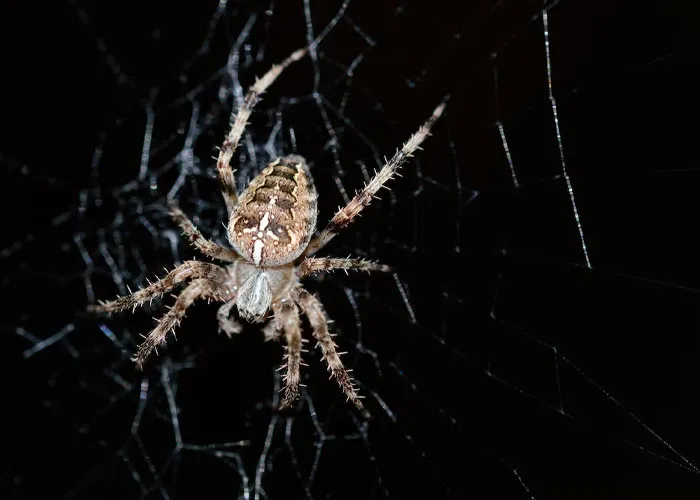 30 Of The Creepiest Things People Have Ever Discovered In Homes