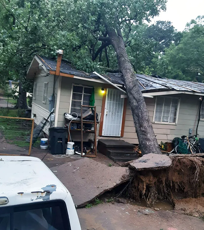 Acabo de terminar las reparaciones de otro árbol caído hace 2 semanas