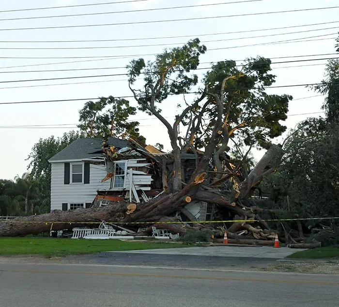 A Bit Windy Today