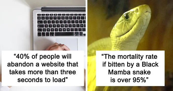 "85% Of Women Wear The Wrong Bra Size": 50 Wild Statistics That Are As Random As They Are Interesting, As Shared On This Twitter Page