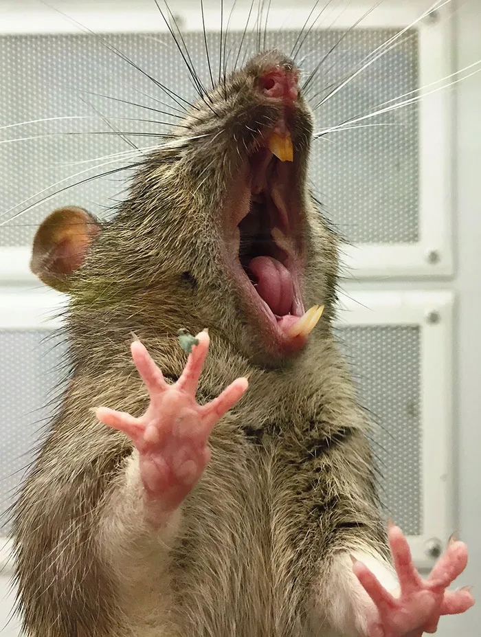 45 People Whose Brain.exe Stopped Working Share The Weirdest And Funniest Things They've Done