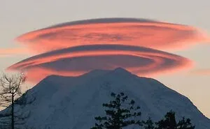 People In This Online Group Find Weird, Wonderful And Strange Things In The World, Here Are 50 Of Their Best Posts