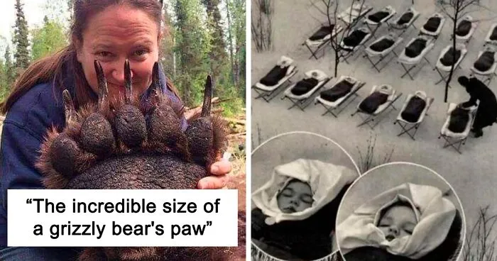 People In This Online Group Find Weird, Wonderful And Strange Things In The World, Here Are 50 Of Their Best Posts