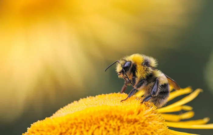 If You're Tired Of All The Depressing News, These 50 Wholesome Stories Might Just Balance Everything Out