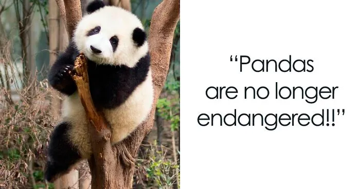 If You're Tired Of All The Depressing News, These 50 Wholesome Stories Might Just Balance Everything Out