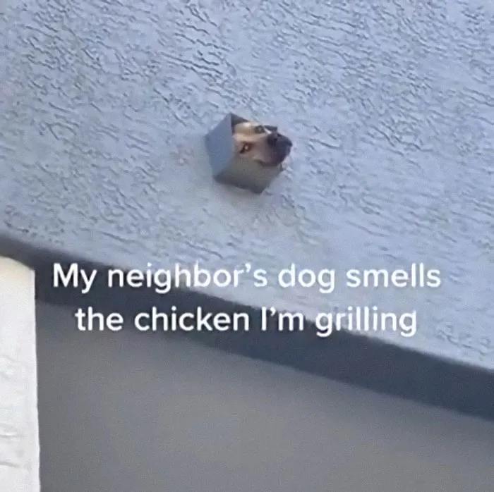 Day Off. Someone Is Making Barbecue In The Country⁠⁠ I: