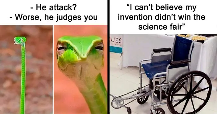 50 Funny Science Jokes And Memes That Don't Require An IQ Of 300 To Get