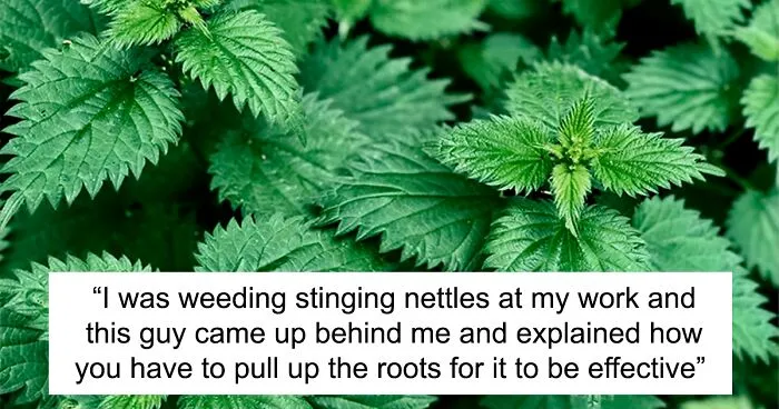 50 Times Guys Humiliated Themselves By Mansplaining Things To Women