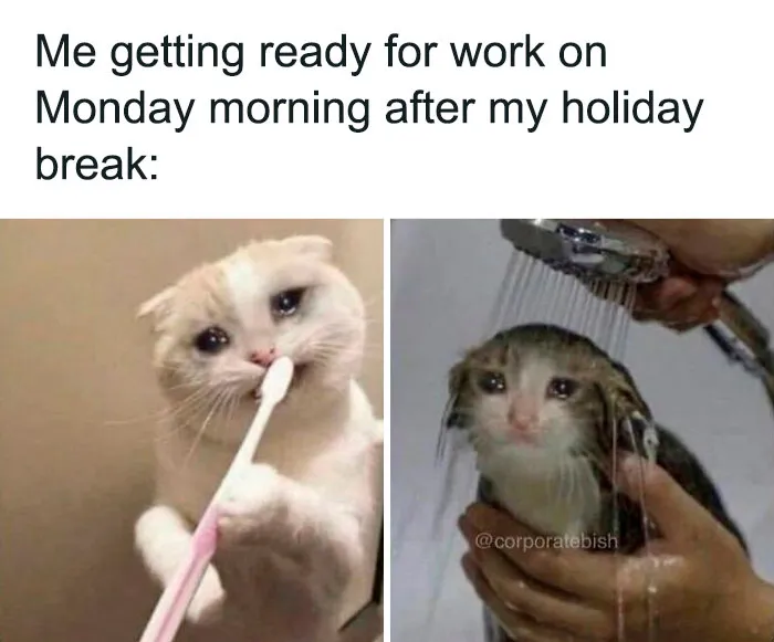 "9 To 5 Lifestyle": 50 Of The Most Accurate Memes About Living That Corporate Dream That Might Hit Way Too Close To Home