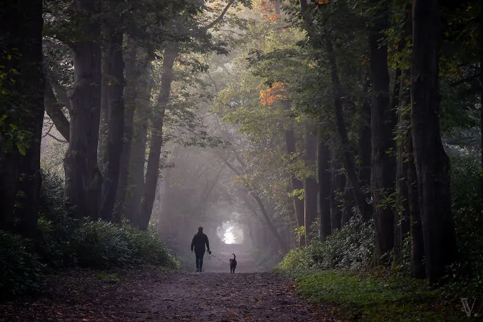 A Morning Stroll