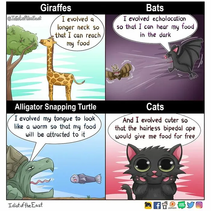 30 Relatable And Funny Comics By The 'Idiot Of The East' (New Pics)