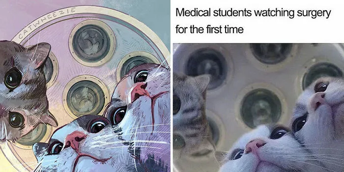 30 Of The Funniest Internet-Famous Cat Pics Get Illustrated By Catwheezie (New Pics)