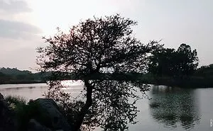 My Last Week Tour At Misriot Dam