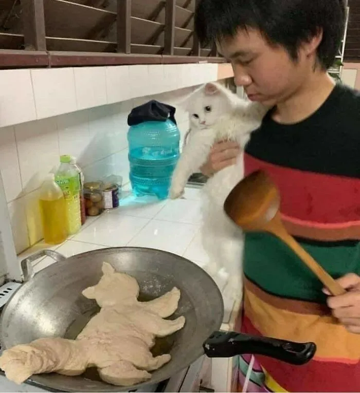40 Fotos extrañas de gatos que de algún modo tienen sentido, compartidas por la cuenta “Avantgarde Cats”