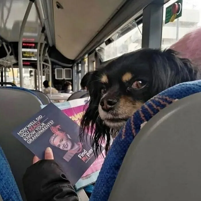 50 Confusing And Funny Photos Without Any Context, As Shared By This Instagram Page