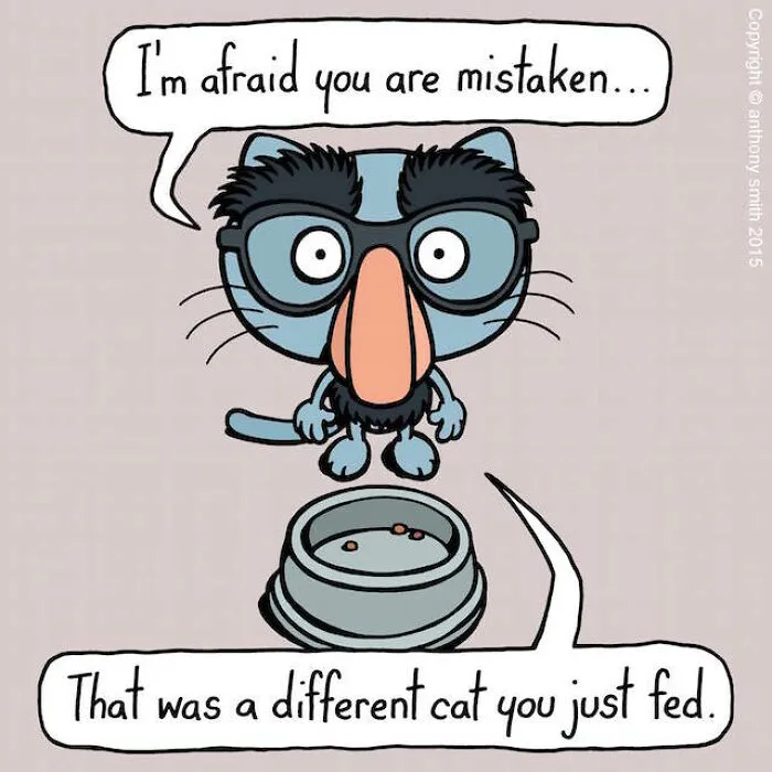 These One-Panel Cat Comics By Anthony Smith Purrfectly Capture What Having A Cat Is Like (40 Pics)