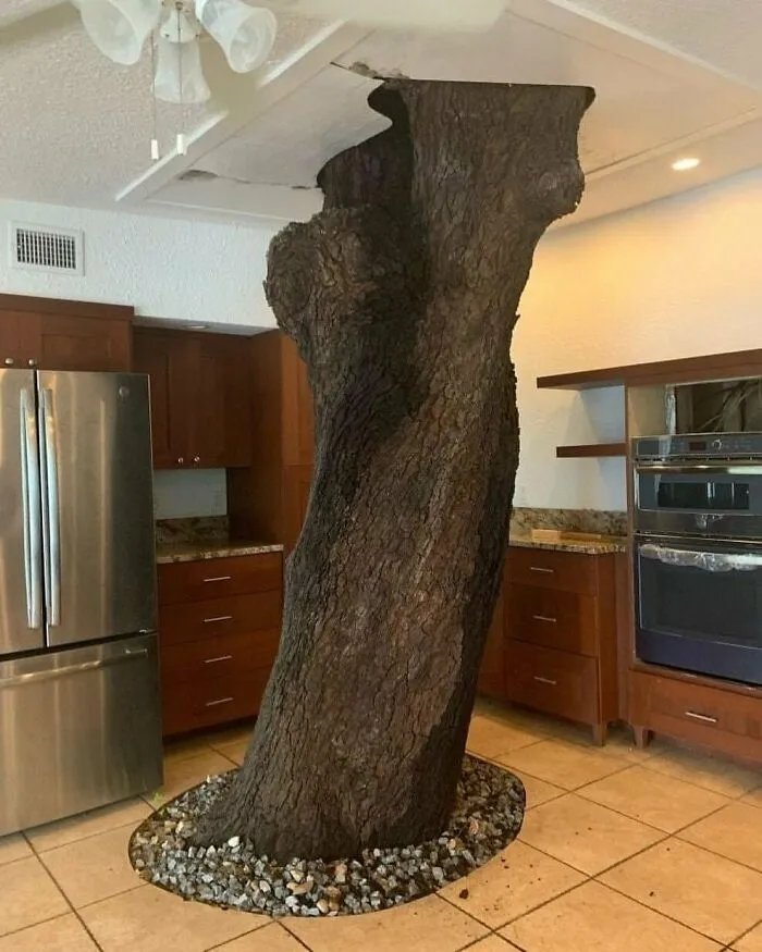 Im Off To The Kitchen To Make Some Treets. Wood You Like To Help Me?