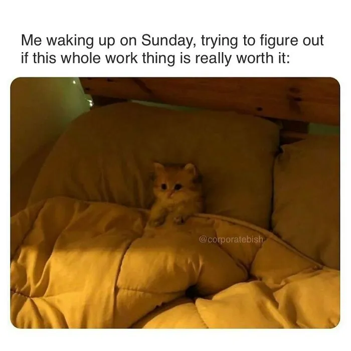 "9 To 5 Lifestyle": 50 Of The Most Accurate Memes About Living That Corporate Dream That Might Hit Way Too Close To Home
