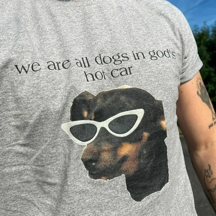 Funny-Shirts-Thegoodshirts