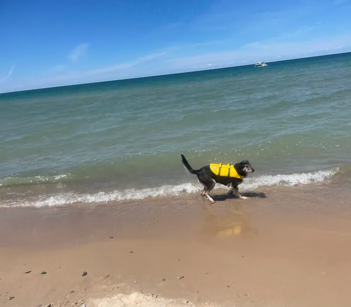 Fisherman's Island State Park, Charlevoix County, Michigan (Doggo Not Included)