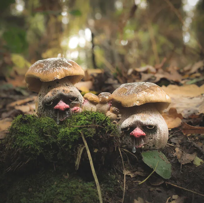 Mushrooms