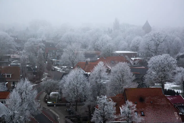 Den Ham Covered In Hoar Frost