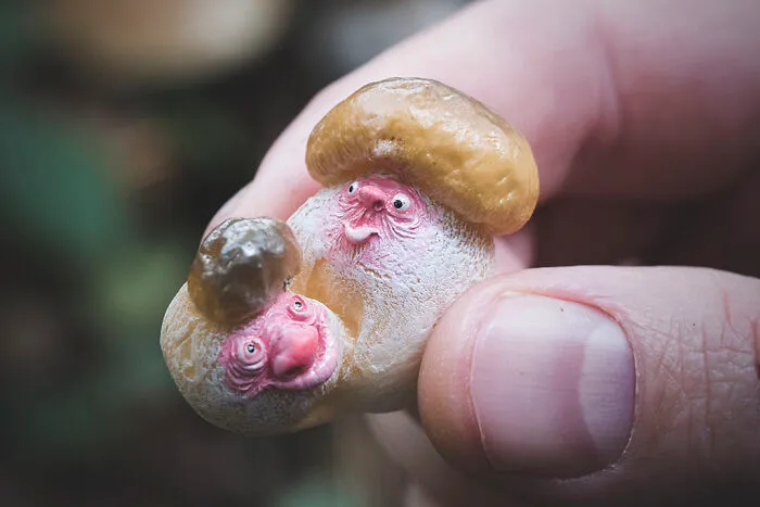 19 Unique Forest Creatures That We Created Based On Our Dreams